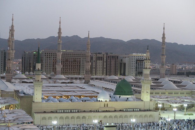 Medina discount flights